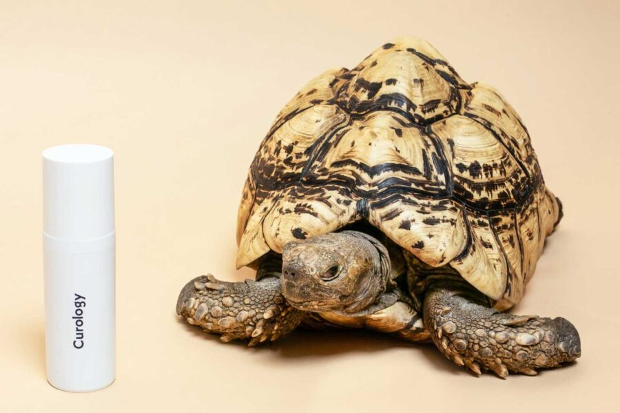 African Nation Are Strugling To Save Their Wildlife