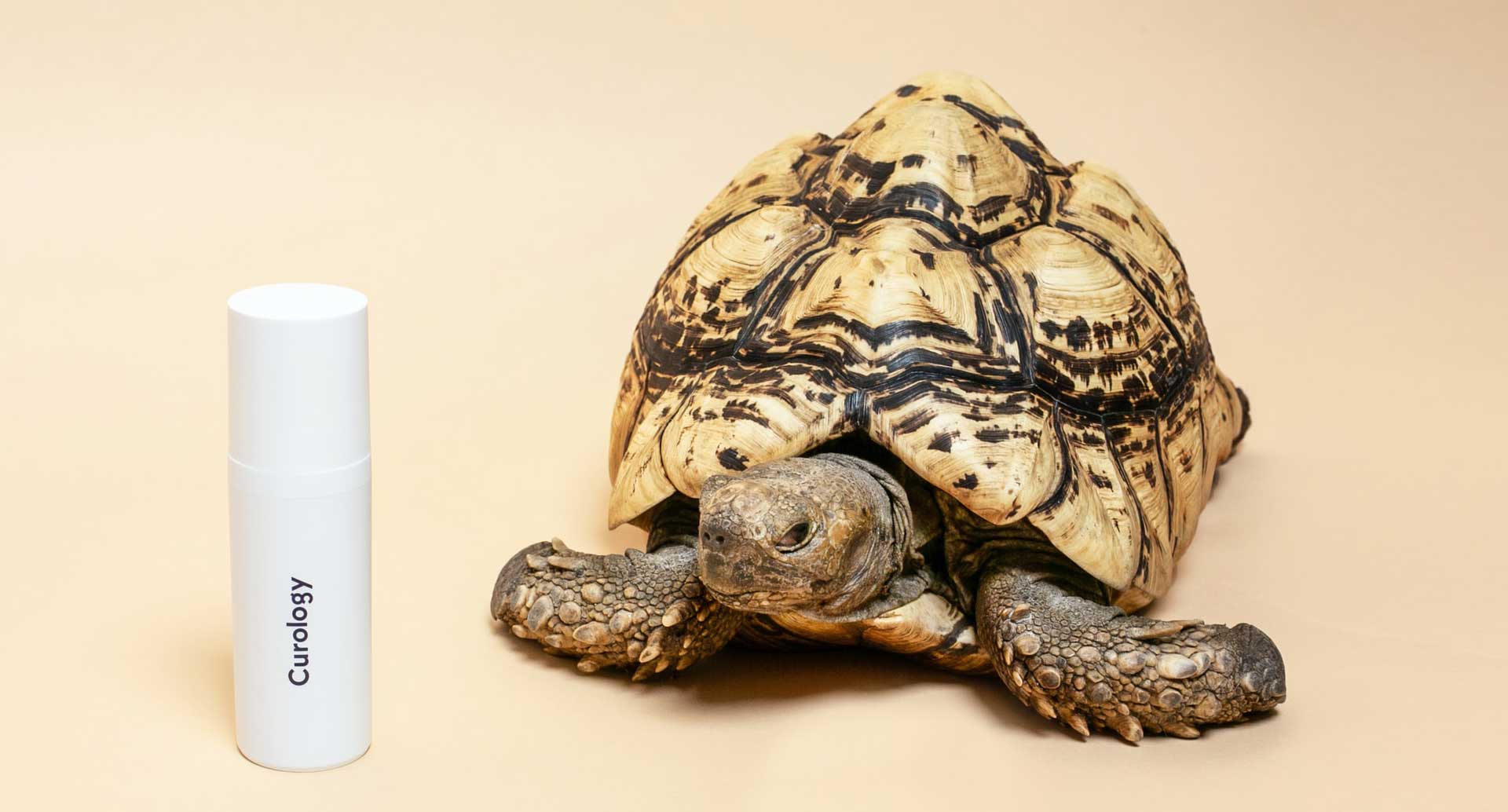 African Nation Are Strugling To Save Their Wildlife