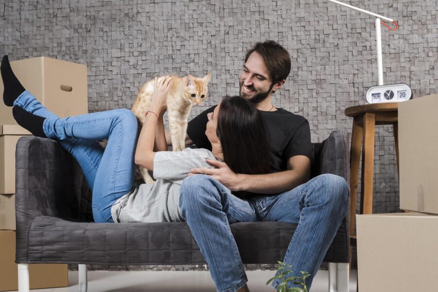 Adorable Clip of Tiger Cubs Learning to Wrestle Will Melt Your Heart