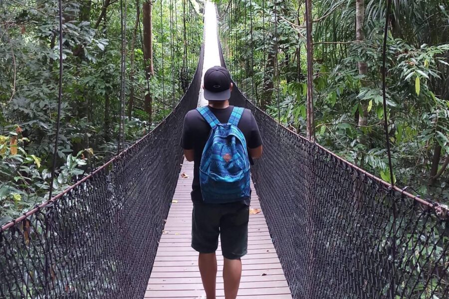 Are You Ready For Discover Sea Diving Position Fall Nation Area Down