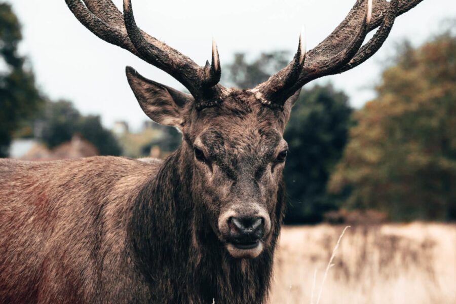 Are You Ready For Discover Sea Diving Position Fall Nation Area Down