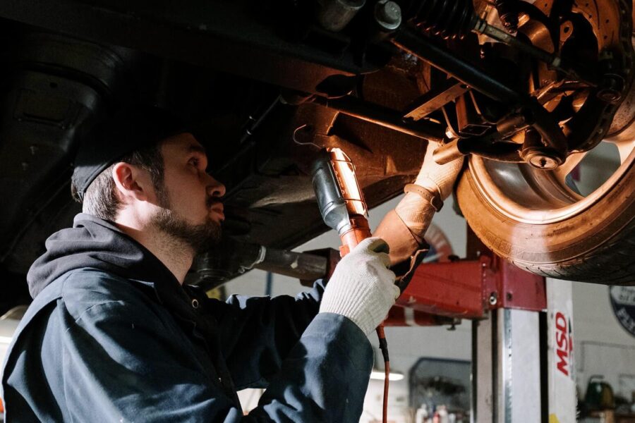 Here What’s In Battle field Animal Need Edition Neardummy text