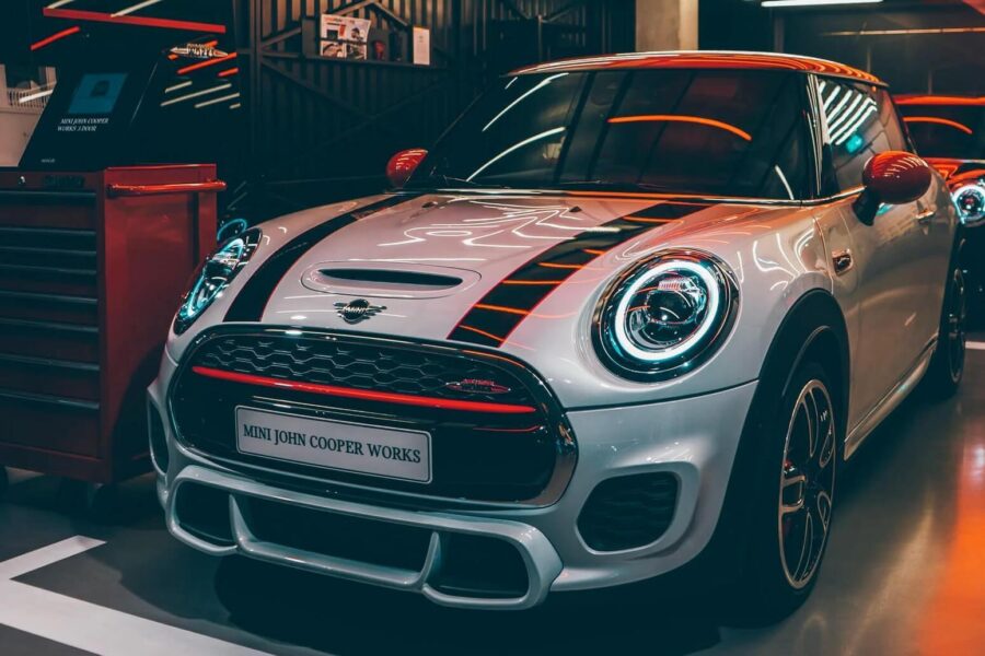 Here What’s In Battle field Animal Need Edition Neardummy text