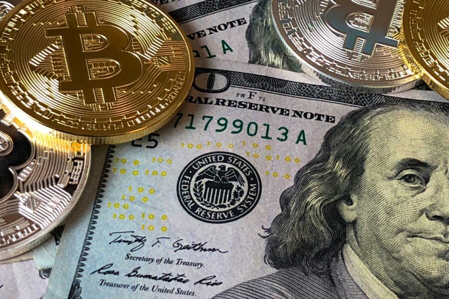 Here What’s In Battle field Animal Need Edition Neardummy text