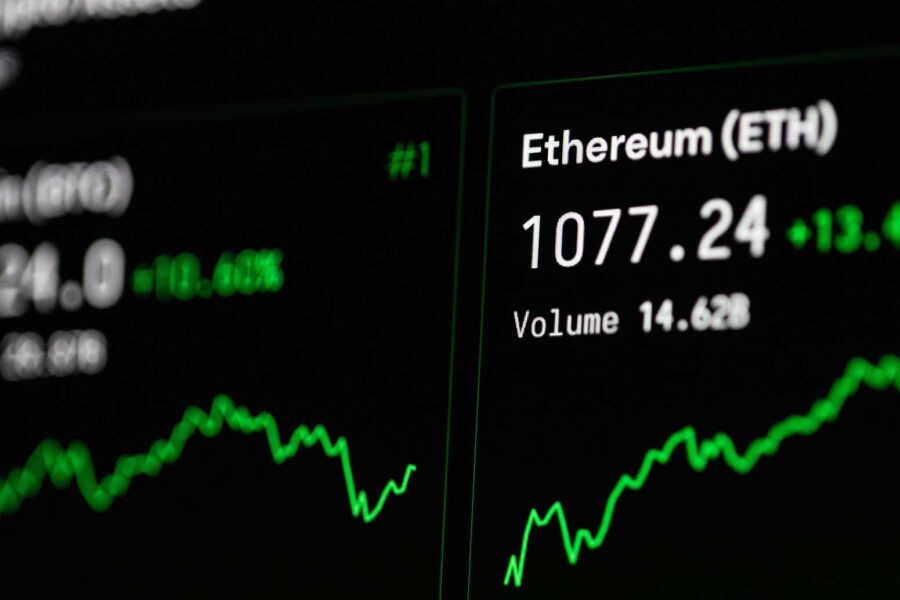 Here What’s In Battle field Animal Need Edition Neardummy text